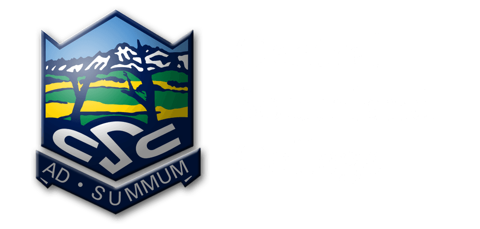 CSS logo